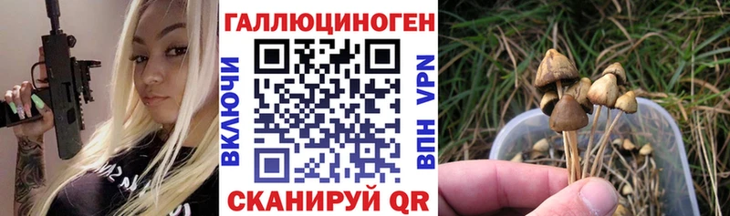 Псилоцибиновые грибы Psilocybine cubensis  Котельники 