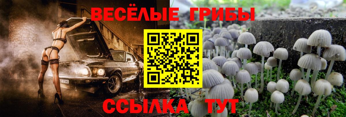 Галлюциногенные грибы Cubensis Котельники