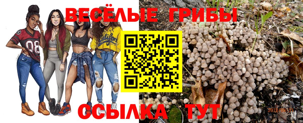 Котельники  Псилоцибиновые грибы мухоморы  Вход с VPN  Галлюциногенные грибы Psilocybe 